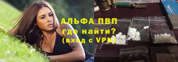 эйфоретик Гусь-Хрустальный
