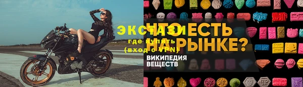 эйфоретик Гусь-Хрустальный