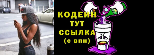 эйфоретик Гусь-Хрустальный