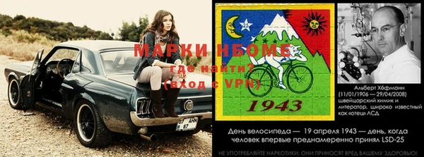стаф Дмитровск