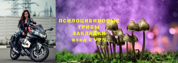 эйфоретик Гусь-Хрустальный
