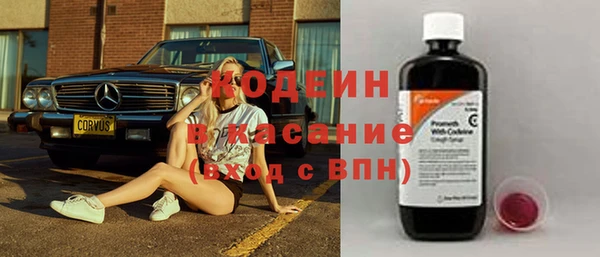 эйфоретик Гусь-Хрустальный