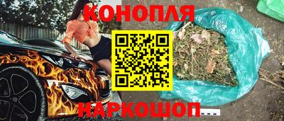 прущие крисы Нальчик