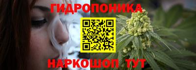 бошки Гагарин