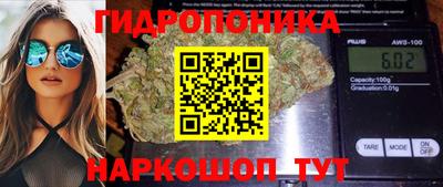 скорость Бийск