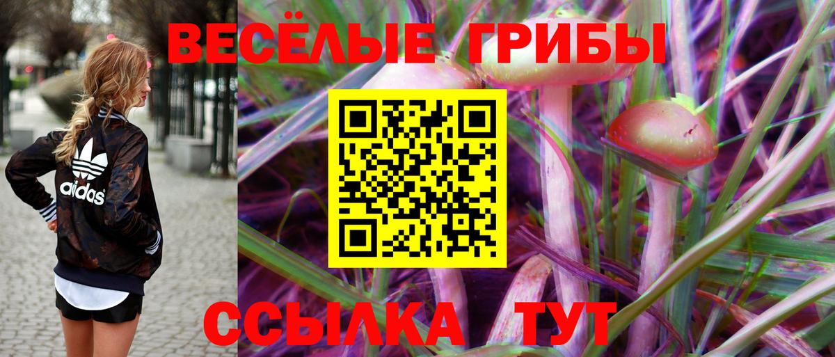 Галлюциногенные грибы Cubensis Добрянка
